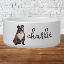 Comida personalizada para Bulldog em Inglês