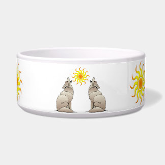 TIGELA COYOTES ABAIXO DE UM SOL SUDESTE