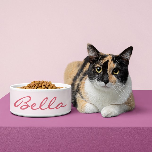 Tigela Criar Comida Personalizada de Gato de Gatinho Pet  (Create Custom Personalized Pet Kitten Cat Food Bowl)