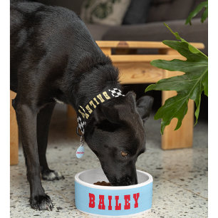 Tigela Criar Comida Personalizada Pet Dog Puppy