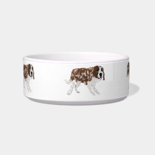 Tigela de Cerâmica para Pet: Melhor Amigo do Homem