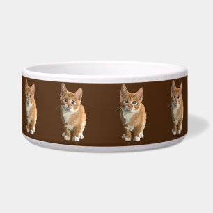 tigela de comida de gatinho de vaca