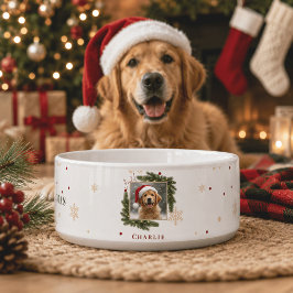 Tigela de Natal Moderna para Animais de Estimação 