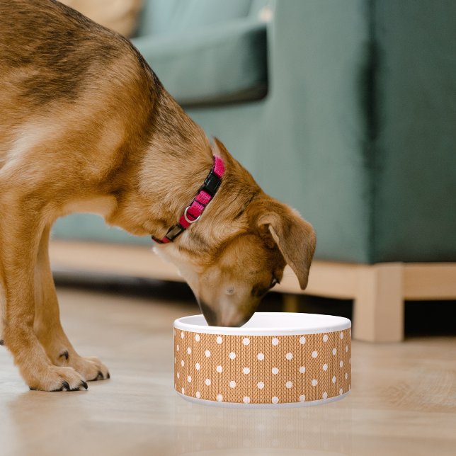 Tigela de Pet Laranja Dotty Delight (Dotty Delight Orange Pet Bowl)
