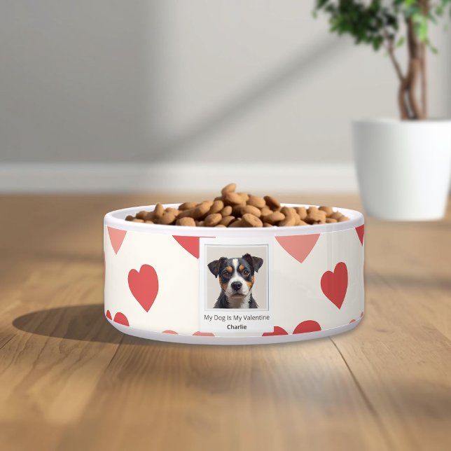 Tigela de Pet Personalizada Moderna para Cachorro  (Criador carregado)