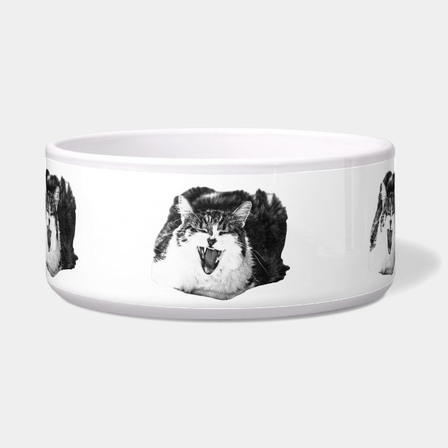 Tigela Diversão Felina, Arte de Prato (Frente)