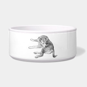 Tigela Diversão na Refeição do Cachorro