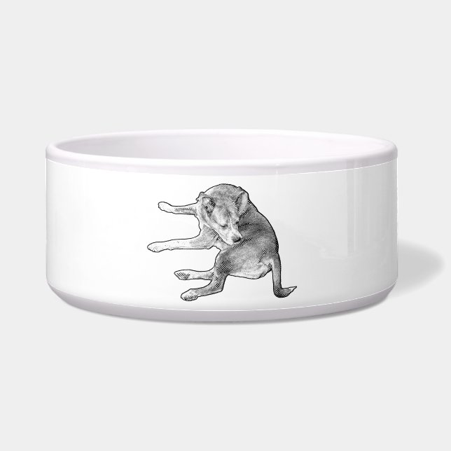 Tigela Diversão na Refeição do Cachorro (Frente)