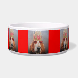 Tigela Dog Bowl Basset Hound King