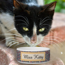 Estampas de gato coloridas e bonitas em Cinzas