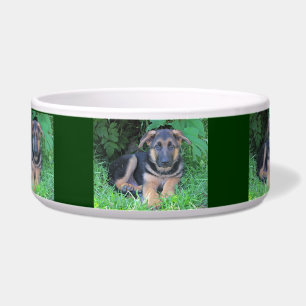 Tigela Filhote de cachorro do german shepherd - bacia do