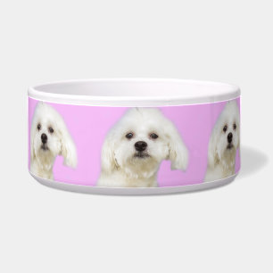 Tigela Filhote de cachorro maltês no rosa