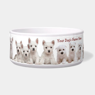 Tigela Filhotes de cachorro de Westie que esperam