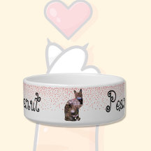 Floral Cat 2 e Hearts Pet Bowl