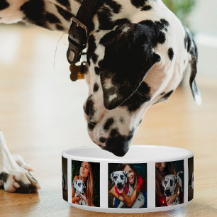 Tigela Foto Colagem de Gatos Família de Cães Pet Photomon
