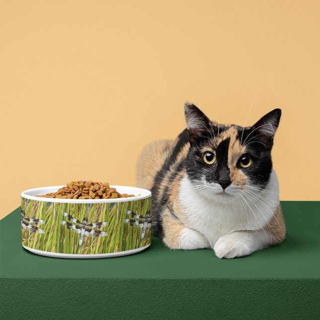 Tigela Foto do Skimmer Dragonfly (In Situ)