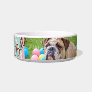 Tigela Foto personalizada do cachorro-quente do Pastel Ch