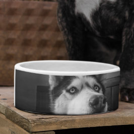 Tigela Foto personalizada prato personalizado de animais 