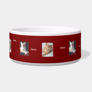 Tigela Fotos de Gatos, Nome, Personalizável,