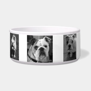 Tigela Fotos e nome personalizados para cães brancos e pr