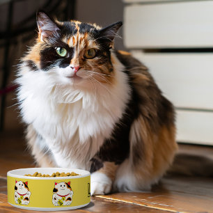 Tigela Galinha de estimação de gato sortudo