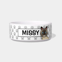 Gato Birman / Ragdoll Tabby de Pontas Pretas & Nom