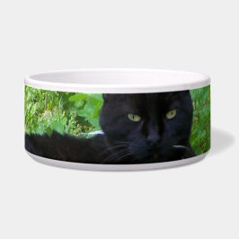 Tigela Gato Bombay Deitado no Recipiente de Comida de Tre