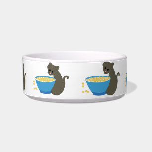 Tigela Gato bonito com um prato azul da comida de gato