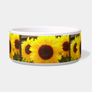 Tigela Girassóis Pet Bowl
