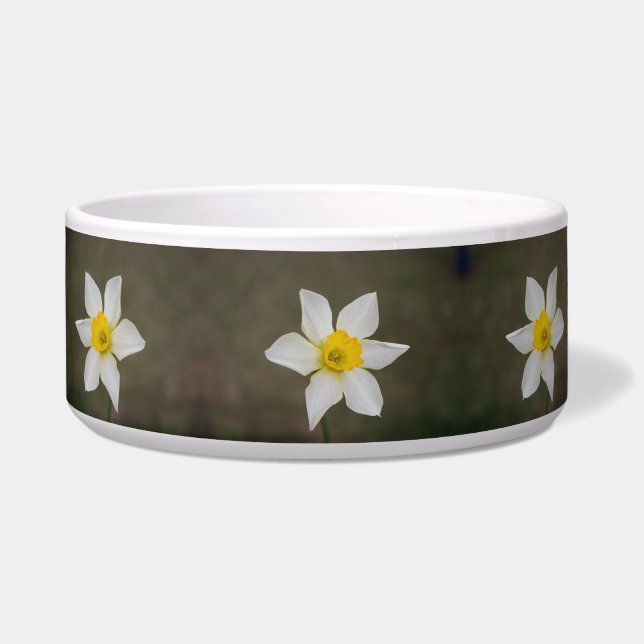 Tigela Grande do Springtime (Frente)