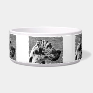 TIGELA GREAT DANE