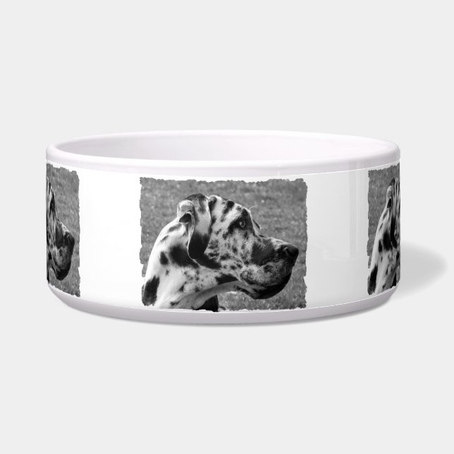 TIGELA GREAT DANE (Frente)