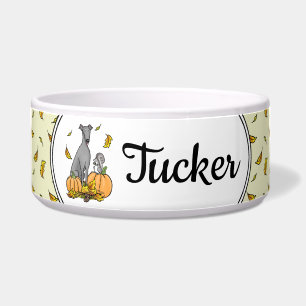 Tigela Greyhound (cinza) Cachorros Pumpkins Deixa Engraça