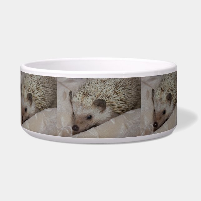 Tigela Hedgehog Sorridente (Frente)