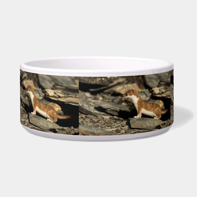 Tigela Hunting Weasel (Esquerda)