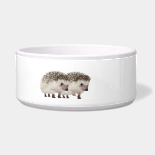 Tigela Imagem de Hedgehog para Pet Bowl Grande