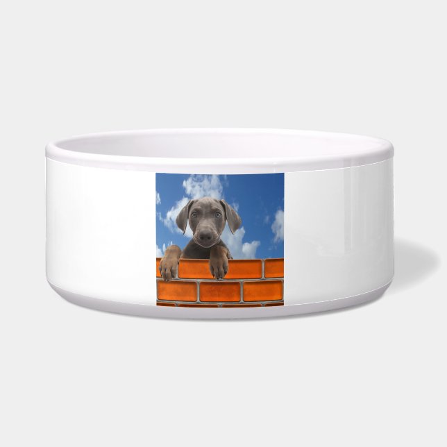 Tigela Imagem predefinida para Pet-Bowl Grande (Frente)