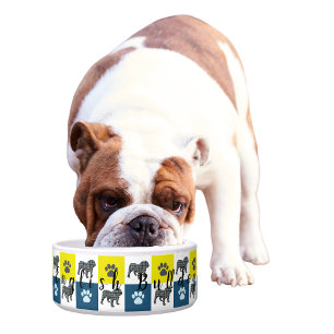 Tigela Inglês Buldogue & Paw Yellow & Blue Grid2