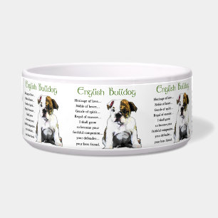 Tigela Inglês Bulldog Dog Bowl