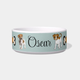 Tigela Jack Russell Terrier,