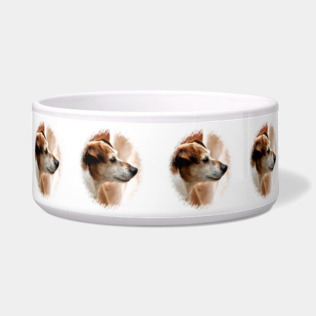 TIGELA JACK RUSSELL TERRIER DOG (Frente)