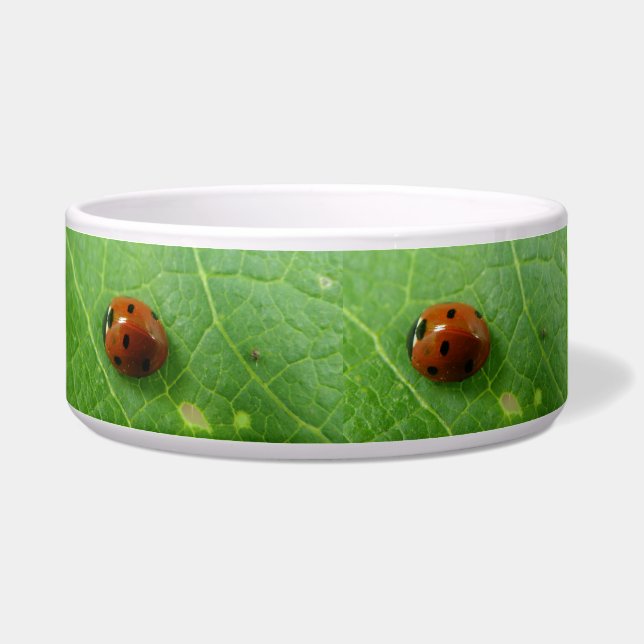 Tigela Ladybug Dog Bowl (Esquerda)