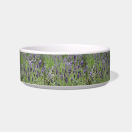 Tigela Lavender Pet Bowl