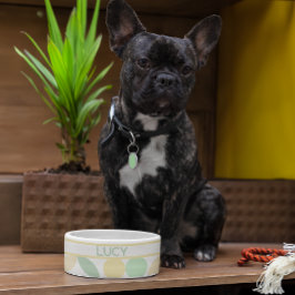 Tigela Limão/Limão Citrus Retro Dog/Cat Bowl