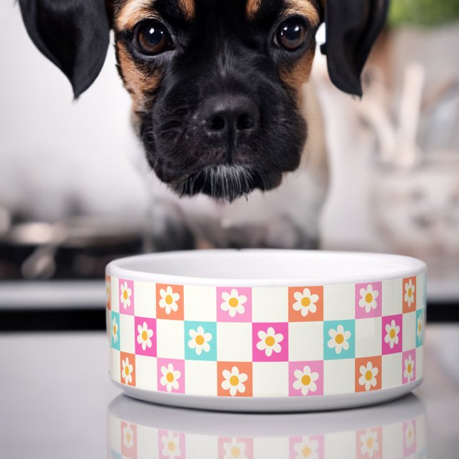 Tigela Linda Margarida Xadrez Colorido Pet Simples (Cute dog bowl with colorful daisy chequerboard pattern)