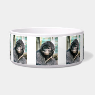 TIGELA MACACOS