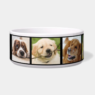 Tigela Melhor Cachorro Alguma Vez Foto Diversão Branca P