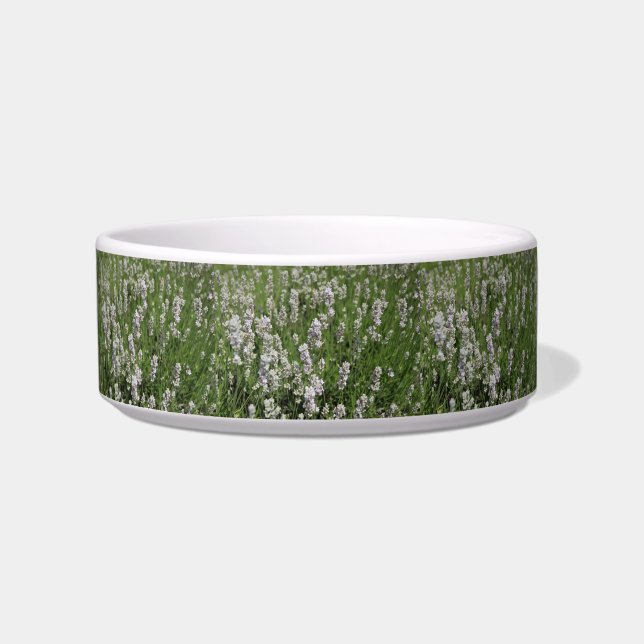Tigela Melissa Lavender Pet Bowl (Frente)