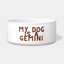 Meu cachorro é um gemini