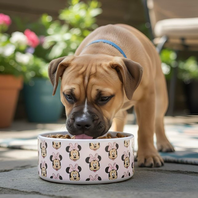 Tigela Minnie Bowl (Criador carregado)